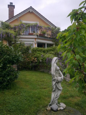 ANERI, Ljubljana